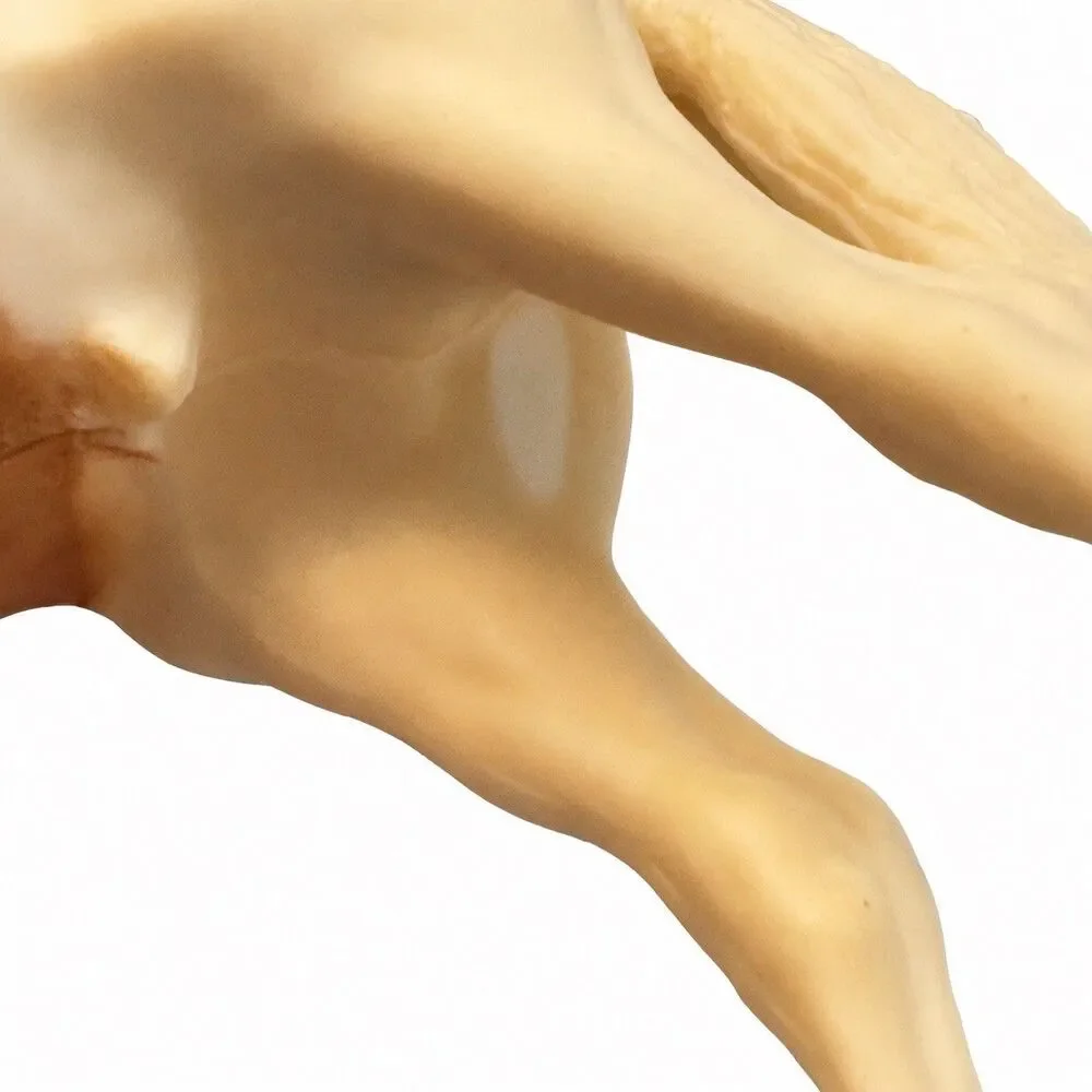 Breyer vintage model